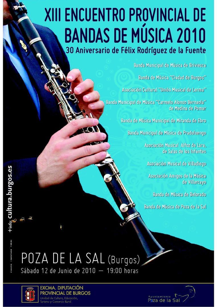 CONCENTRACIÓN PROVINCIAL DE BANDAS DE MUSICA