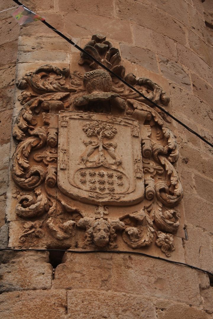 Fotografía de la galería de imágenes con id: 1037