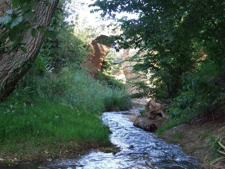 Fotografía de la galería de imágenes con id: 914
